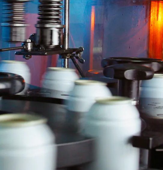 mainactivities-gainesville