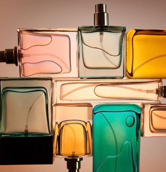 mainactivities-gainesville