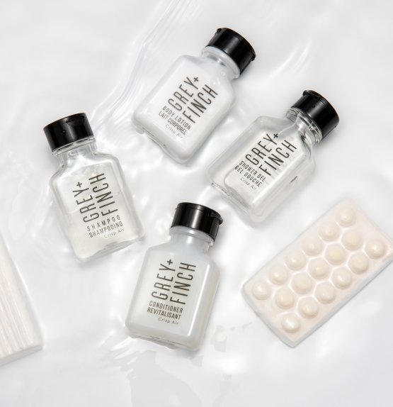 olive-branch-main activities